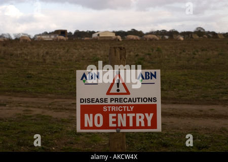 Disease Precautions Sign On Field Of Pigs in uk Stock Photo