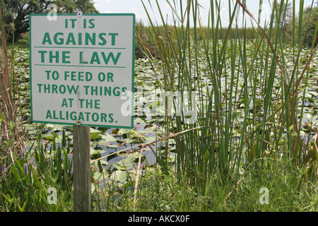 Florida US 27,Everglades,Sawgrass Recreational Park,information,broadcast,publish,message,advertise,do not feed alligators,visitors travel traveling t Stock Photo