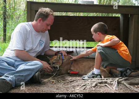 Florida US 27,Everglades,Sawgrass Recreational Park,Vanishing Species Animal exhibit exhibition,panther,visitors travel traveling tour tourist tourism Stock Photo