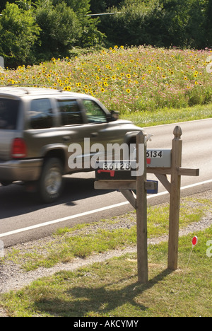 Wild flowers in a field by the road Stock Photo