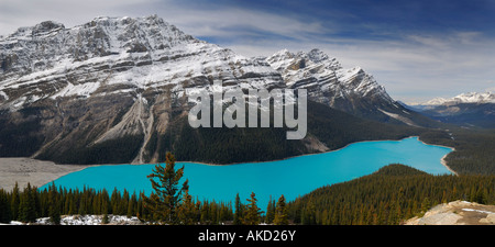 Panorama of Caldron Peak and Mount Patterson at Peyto Lake Icefields Parkway Canadian Rocky Mountains Banff National Park Alberta Canada Stock Photo
