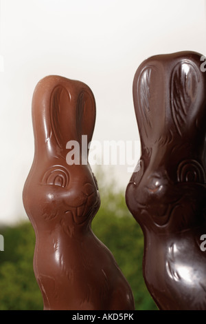 Two chocolate bunnies of different colours Stock Photo