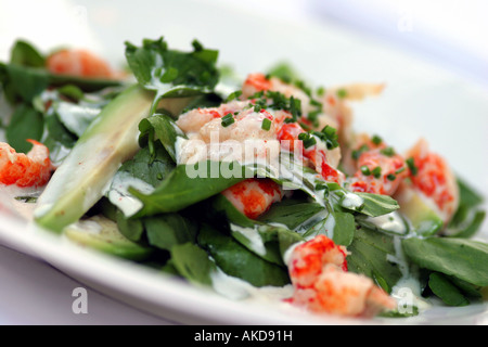 Fresh prawn & seafood salad with avocado Stock Photo