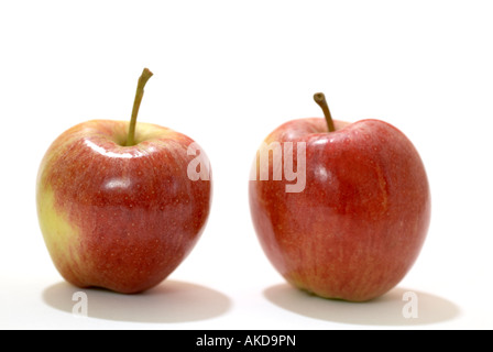 Two "Royal Gala" apples Stock Photo