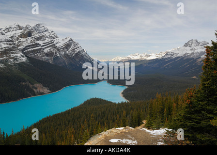 Wolfs head Peyto Lake and snow capped Mount Patterson and Weed on Icefields Parkway Canadian Rocky Mountains Banff National Park Alberta Canada Stock Photo