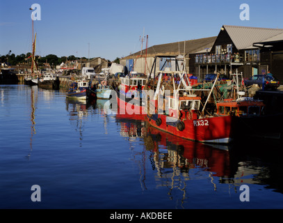 whitstable harbour kent with moored fishing boats and the Thames Sailing barge Greta in front of the fish market with reflections in the calm water Stock Photo