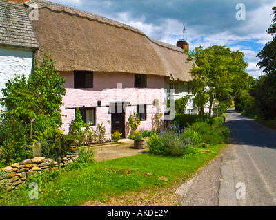 A pink painted thatched cottage in a quiet village Bremhill near Chippenham Wiltshire England UK EUlifestyle Stock Photo