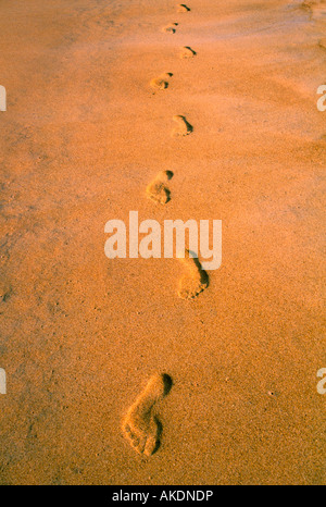 Footprints on a red sand beach Stock Photo
