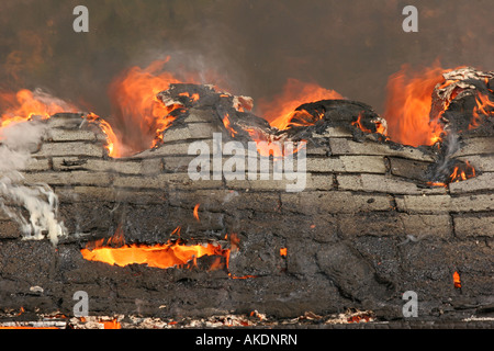 The burnt shingles of a roof from an attic fire which has burnt through the roof Stock Photo