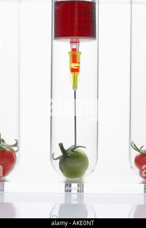Syringe injecting green tomato in test tube Stock Photo