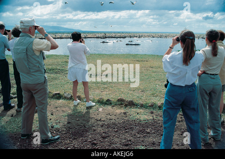 Tourist on foot watching hippos and White Pelicans in Lake Manyara National Park Tanzania East Africa Stock Photo