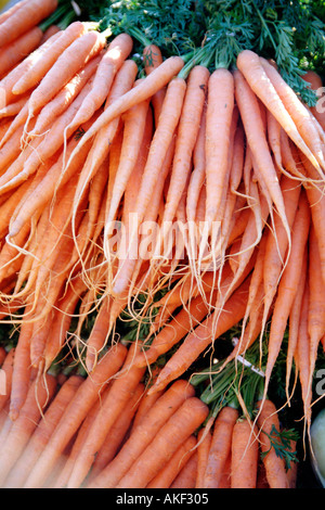 Fresh carrots Stock Photo