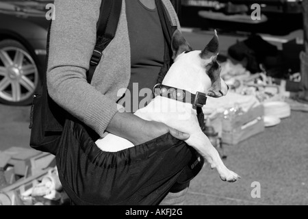 Woman carrying her dog in a dog sling Stock Photo