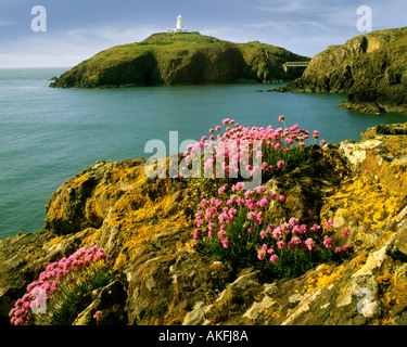 GB - WALES: Strumble Head Lighthouse, Pembrokeshire Stock Photo