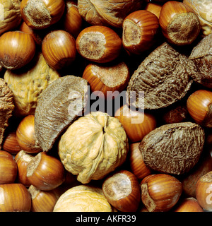 different nuts walnuts brazil nuts hazelnuts Stock Photo