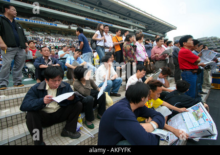 Tribunes filled with betters at Sha Tin Racecourse in Hong Kong owned by Hong Kong Jockey Club. Stock Photo