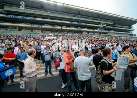Tribunes filled with people at Sha Tin Racecourse in Hong Kong. Stock Photo