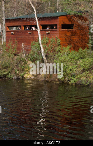 Exterior of the beaver hide at Aigas Stock Photo