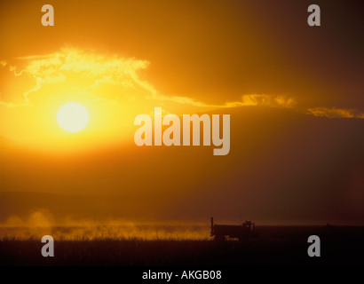 A rice combined harvests one last row of rice as the sun sets behind the mountains in the Sacramento Valley California Stock Photo