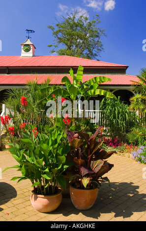 Abbotsbury Sub Tropical Gardens in Dorset England UK founded by Elizabeth 1st Countess of Ilchester in 1765 Stock Photo