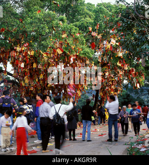 People praying under wishing tree in Tai Po, Hong Kong during Chinese New Year Stock Photo