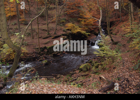 A small waterfall in a woodland gorge in North West England Stock Photo