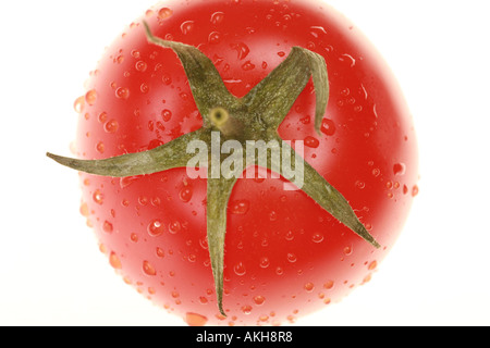 close up of tomato with waterdrops strong backlit shallow DOF Stock Photo