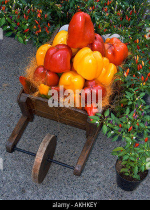 Peppers, Peppers festival, Carmagnola, Piedmont, Italy Stock Photo