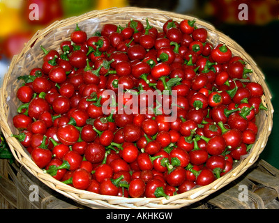 Peppers, Peppers festival, Carmagnola, Piedmont, Italy Stock Photo