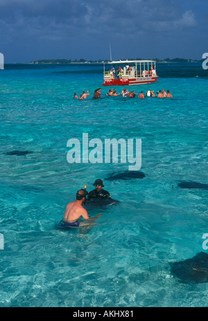 tourists, South Atlantic Stingray, South Atlantic Stingray, Atlantic Stingray, Stingray City, Grand Cayman Island, Cayman Islands, Caribbean Stock Photo