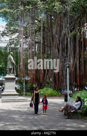 Mauritius Port Louis Company Gardens banyan tree people Stock Photo