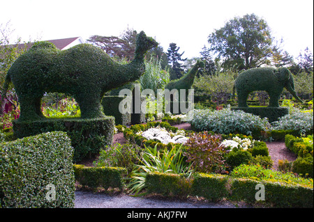 Green Animals Topiary Garden Portsmouth Rhode Island Stock Photo