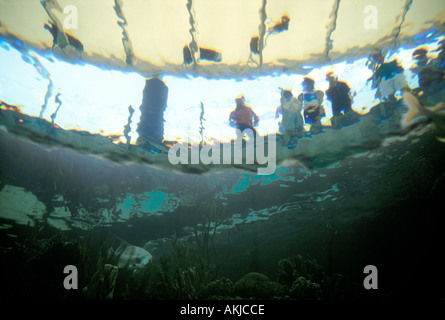 Inside Aquarium Stock Photo