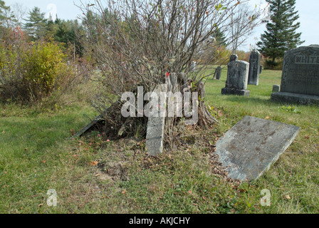 Old weathered headstones in an scenic New England graveyard Stock Photo ...