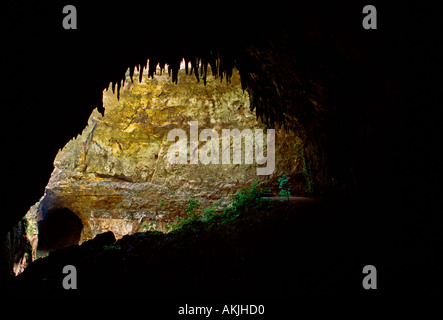 Clara Cave, limestone cave, limestone caves, cave, caves, cave system, calcarous deposits, Camuy River Cave Park, Puerto Rico, West Indies Stock Photo