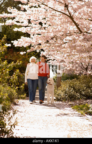 two women walking a dog Stock Photo - Alamy