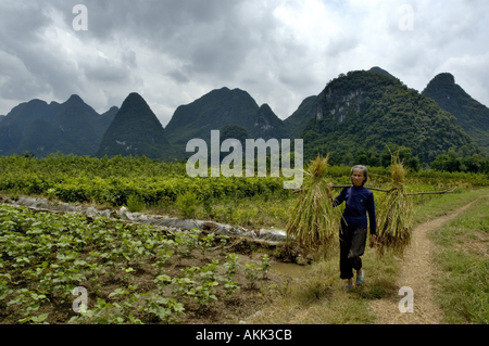 Peasant walking back from the rice field on a dirt road along the Yulong River, Yangshuo, Guangxi, China. Stock Photo