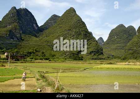 Limestone Karst Peaks / mountains and Rice Paddy fields in Yangshuo, Guangxi, China Stock Photo