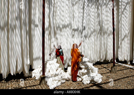 India, Rajasthan, drying of strips of cotton for sari fabrication Stock Photo