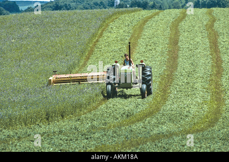 Wisconsin hay field of clover being harvested for feed for dairy cows Stock Photo