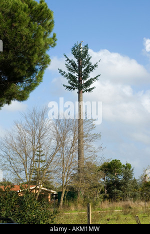 Mobile phone tower camouflaged as a tree Italy Stock Photo