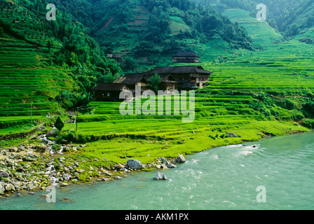 Rice fields, Longsheng, Guangxi province, China Stock Photo