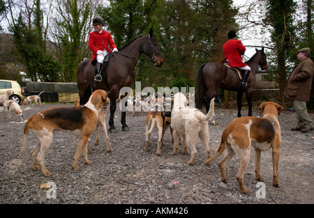 Huntsmen in red coats on horseback with hounds gather for fox hunt meeting in UK Stock Photo