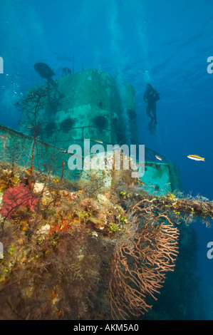 Growth on C53 shipwreck Cozumel Mexico Stock Photo