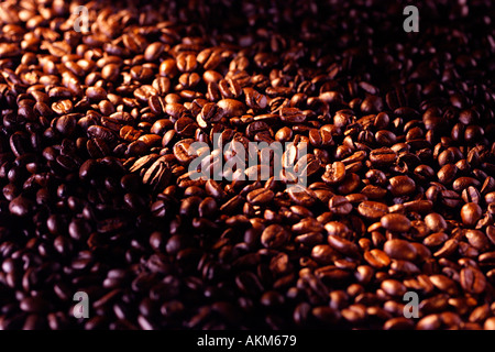 MASS OF COFFEE BEANS WITH RAY OF SUNLIGHT Stock Photo