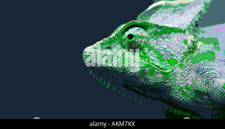 Chameleon. Photo illustration Stock Photo