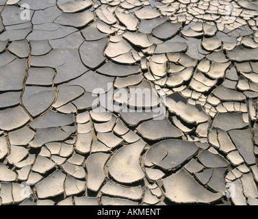 Dried mud puddle wiht cracks, Saxony, Germany Stock Photo
