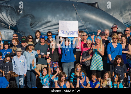 Anti-whaling protest, Bondi, Australia Stock Photo