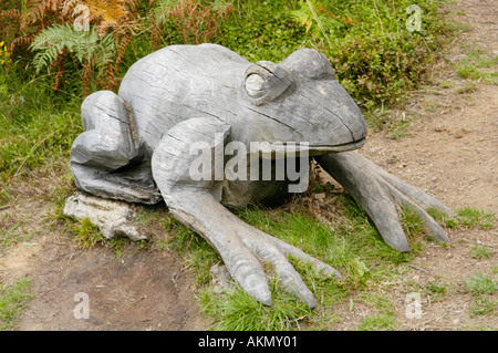 Giant frog carved wooden sculpture at Cwmcarn Forest Drive in the South Wales Valleys UK Stock Photo