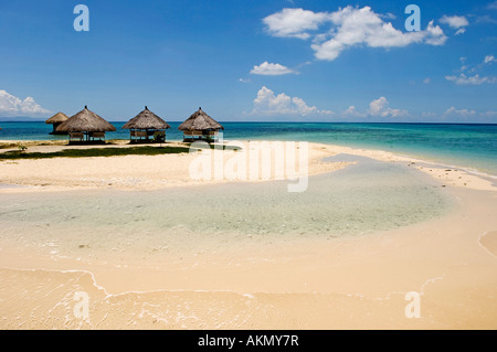 Philippines, Cebu island, Pandanon Island, Nalusuan Marine Sanctuary Stock Photo